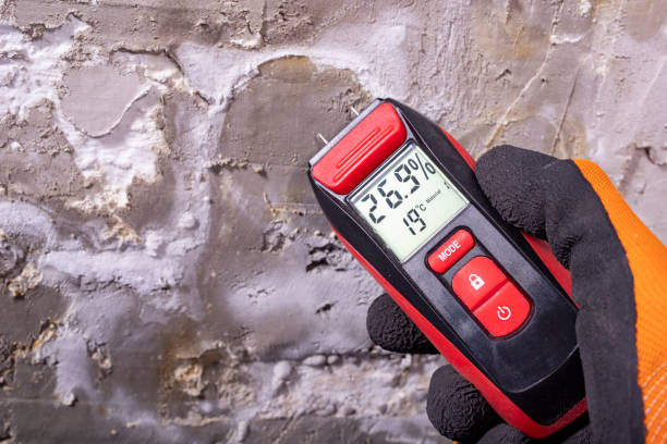 Best Office Mold Removal Services  in Ridgeway, AK