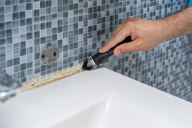 Best Professional Mold Removal  in Ridgeway, AK