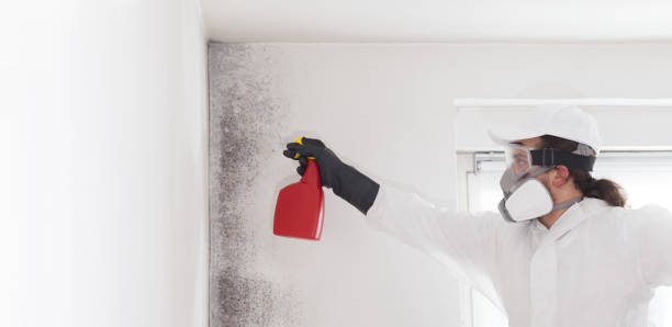 Best Crawl Space Mold Removal  in Ridgeway, AK