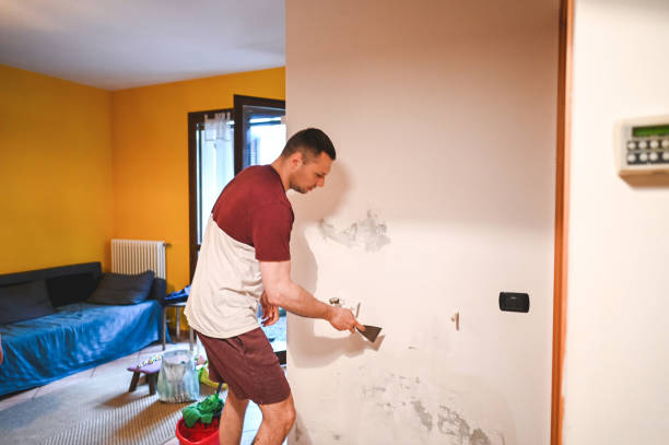 Best Affordable Mold Removal  in Ridgeway, AK